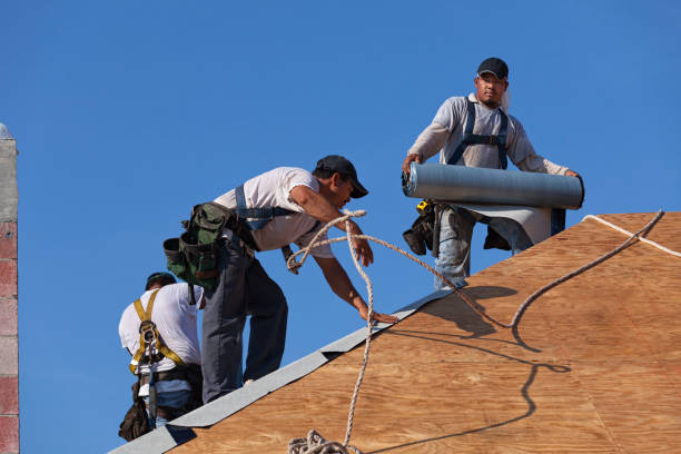 Best Roof Waterproofing Services  in Ball, LA
