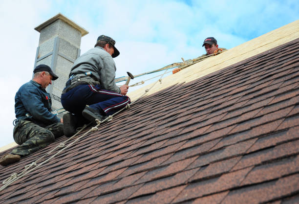 Best Gutter Installation and Roofing  in Ball, LA