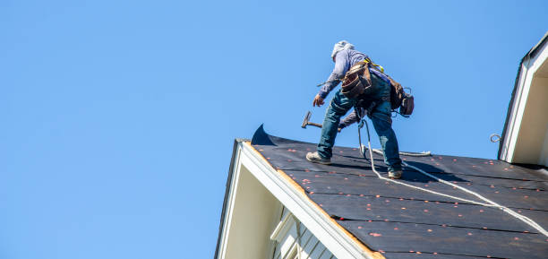 Best Gutter Installation and Roofing  in Ball, LA